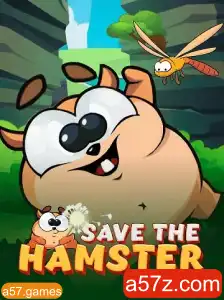 Explore o Mundo do Jogo 'SavetheHamster'